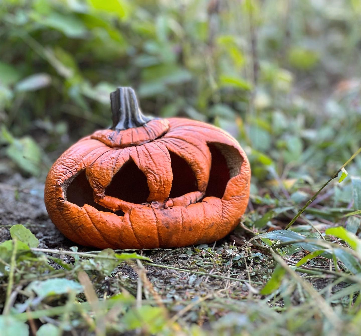Rotting Pumpkin Prop Rotten Pumpkin – Mr. Chicken's Prop Shop