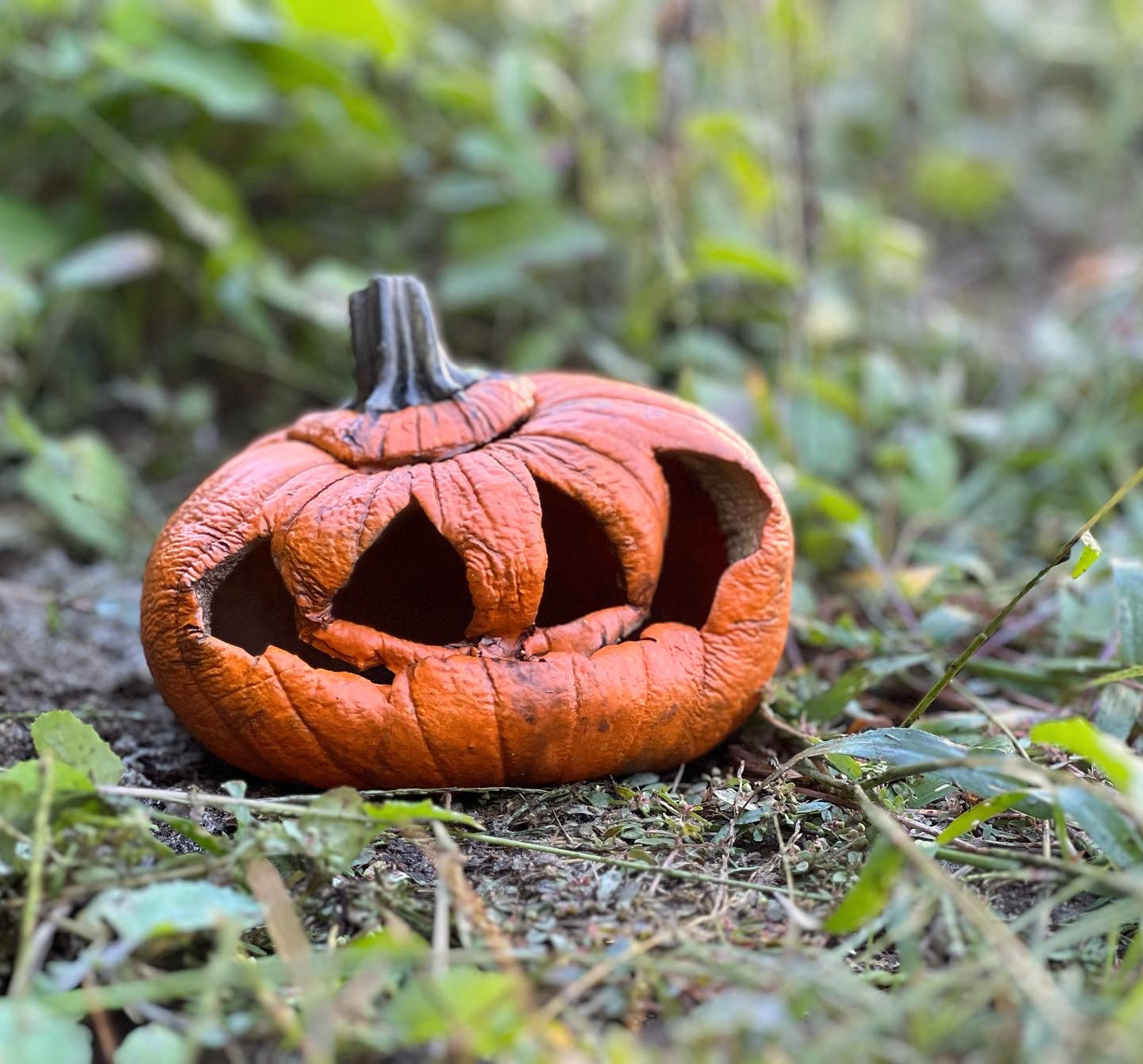 Rotten Pumpkin