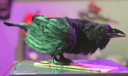 Animatronic Raven Kit