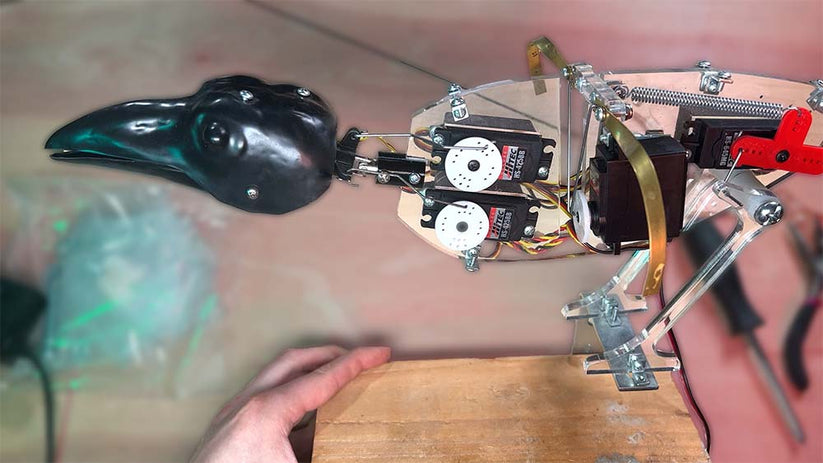 Animatronic Raven Kit – Mr. Chicken's Prop Shop